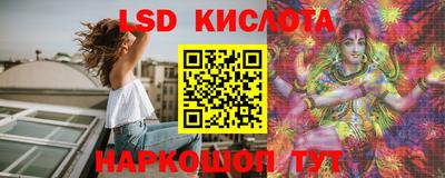 шишки Дмитров