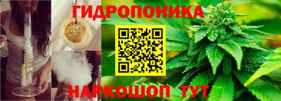 шишки Дмитров