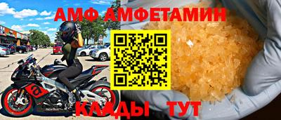 шишки Дмитров