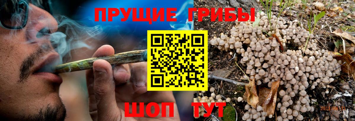 Псилоцибиновые грибы Cubensis  наркотики  Жуковский  Вход с VPN 